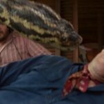 doug-gets-his-chance-to-direct-a-proper-anaconda-reboot-1766598860