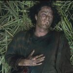 in-the-tall-grass-travis