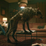 MV5BYzY0N2JmN2EtMGI4Ni00YmQ5LTgxYzgtY2QyZTBkMTRiODg4XkEyXkFqcGc@._V1_